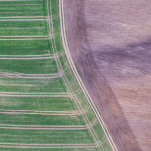 Photo by Dominik Martin on Unsplash