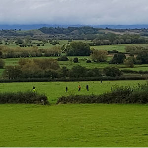 Detecting View