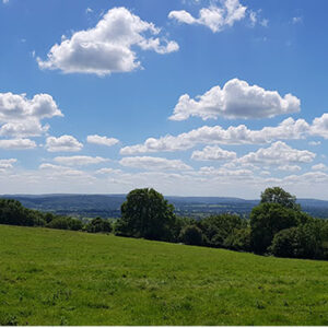 Panarama of Somerset - copyright David Kingston