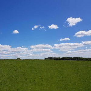 Cadbury Hillfort